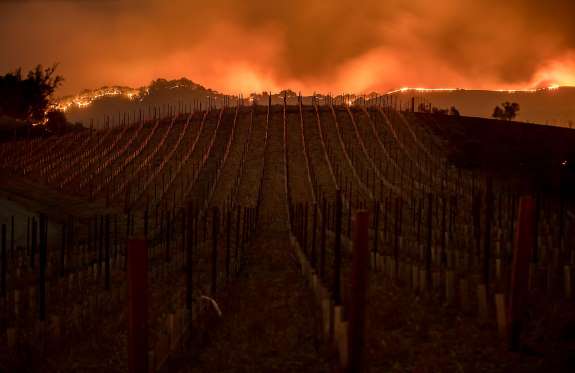 wildfires3